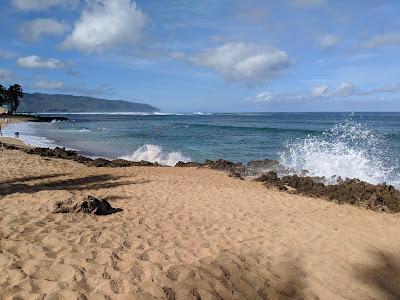 Sandee - Haleiwa Alii Beach Park