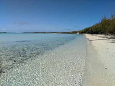 Sandee - Alabaster Beach