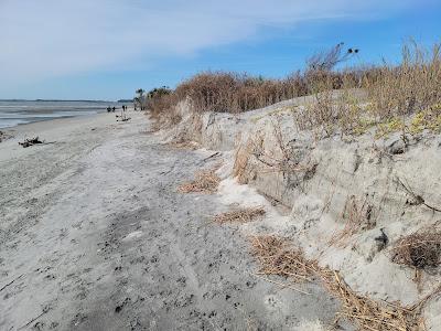 Sandee - Folly Beach County Park