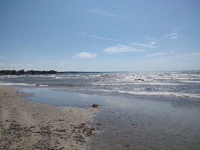 Sandee - Woodlawn Beach State Park