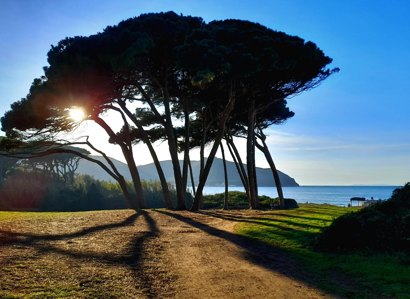 Sandee Spiaggia Baratti Centro Photo