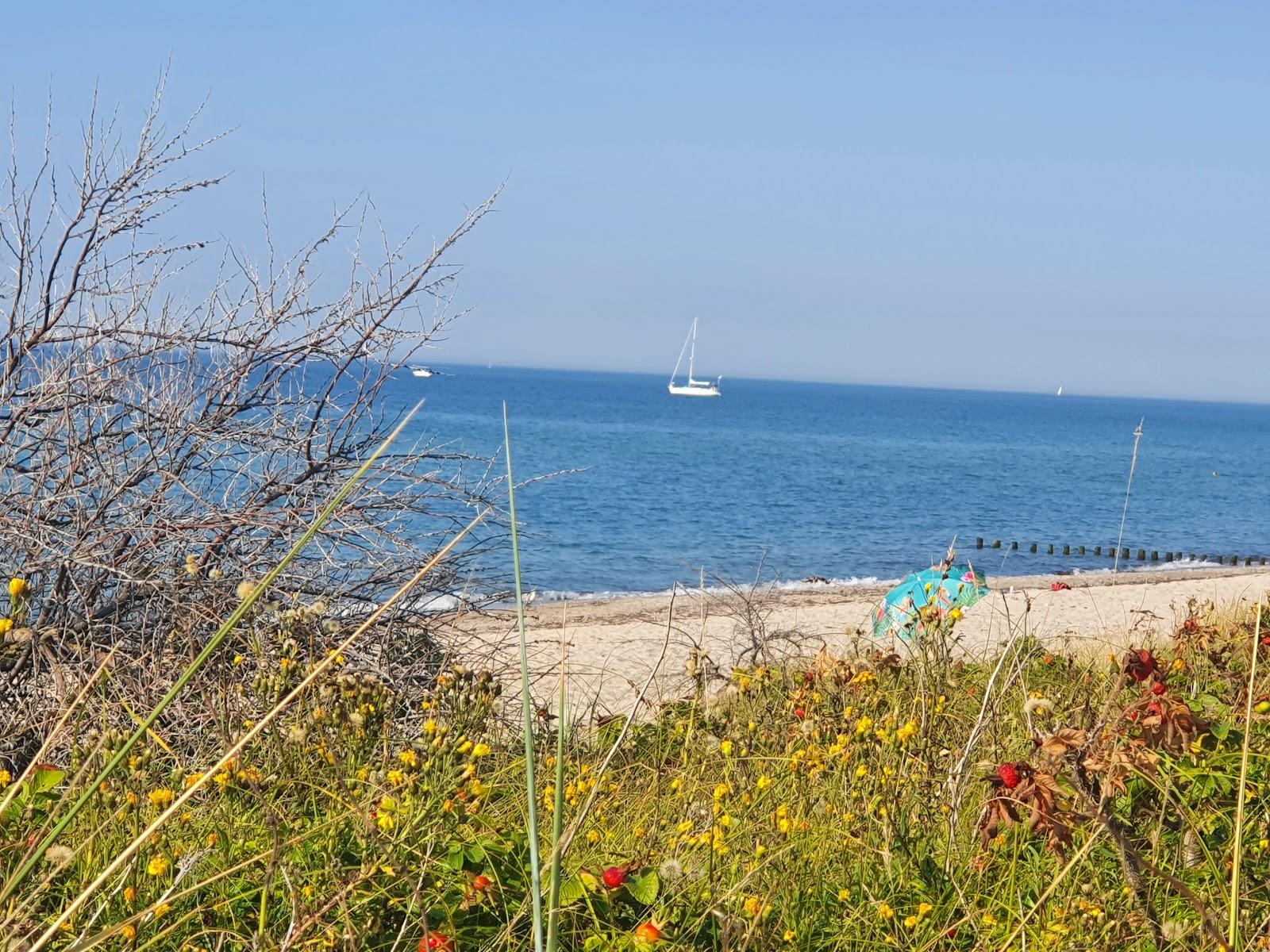 Sandee Strand Hohe-Dune Warnemunde