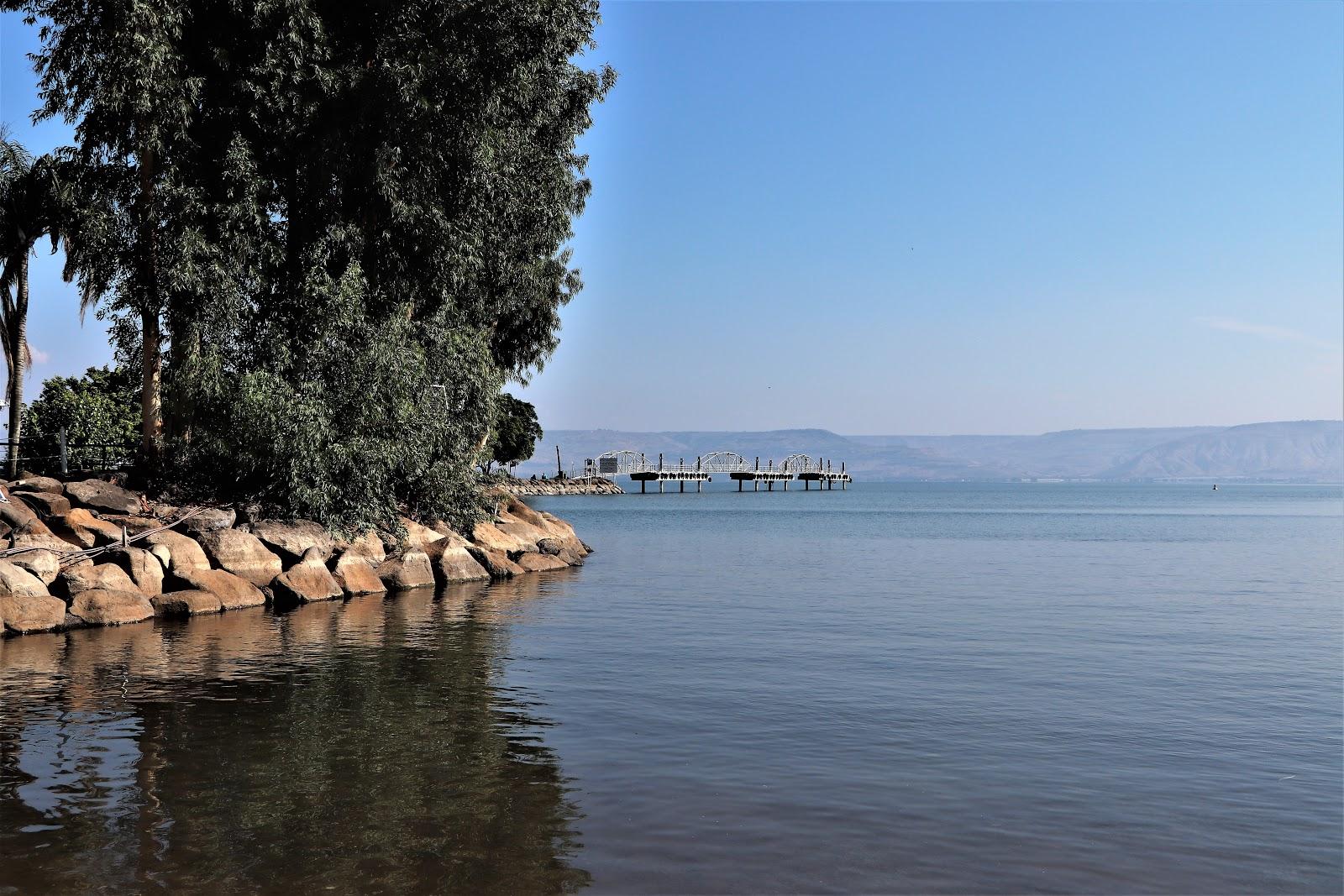 Sandee The Green Beach Of The Sea Of Galilee