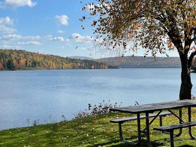 Sandee - Lake Francis State Park