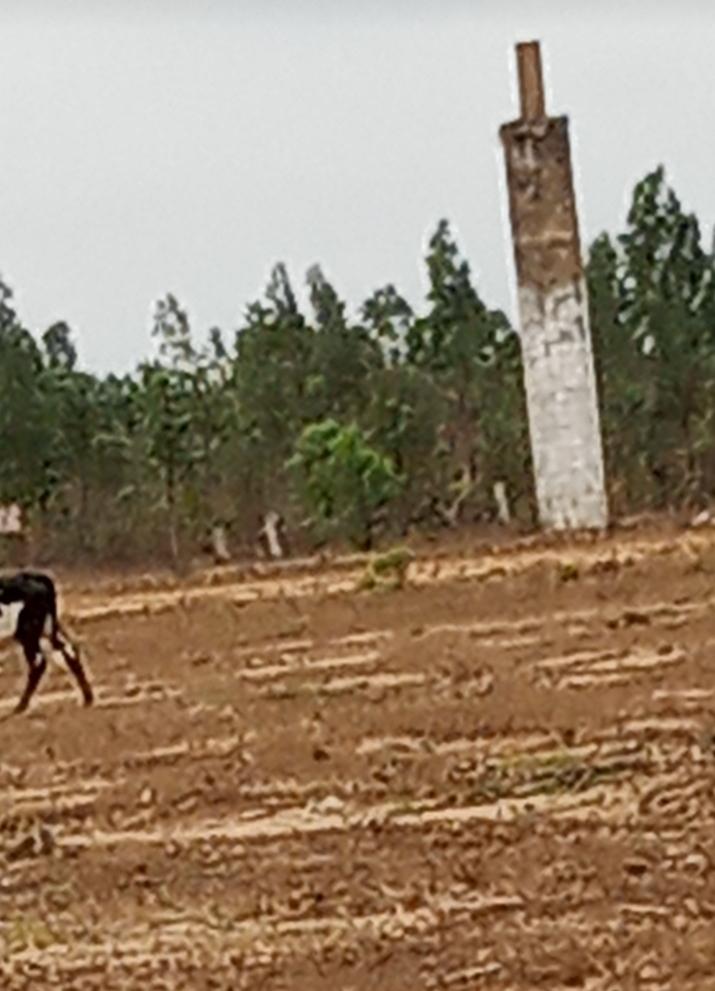 Sandee Pointe Indienne