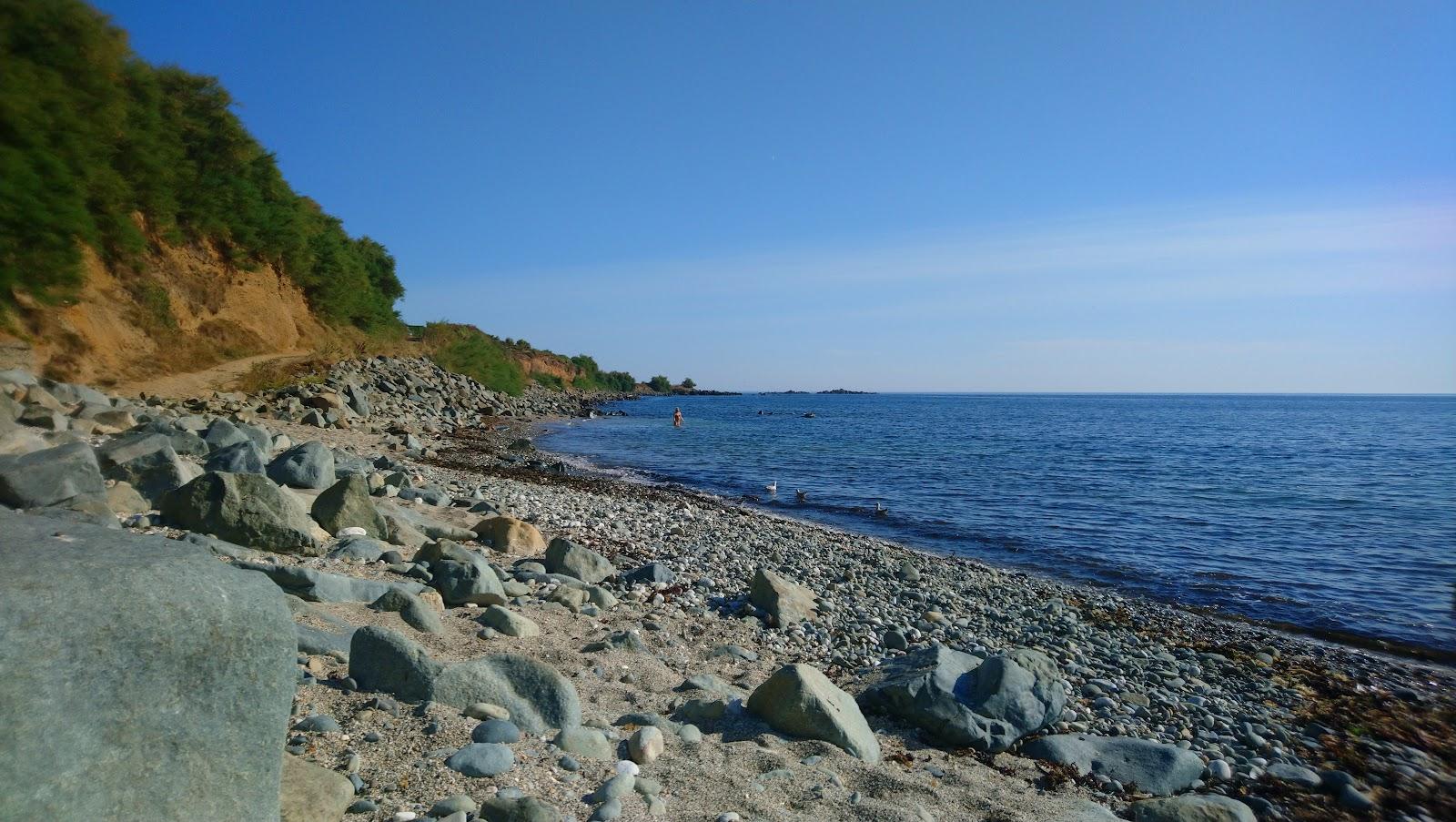 Sandee Trenow Cove Beach Photo