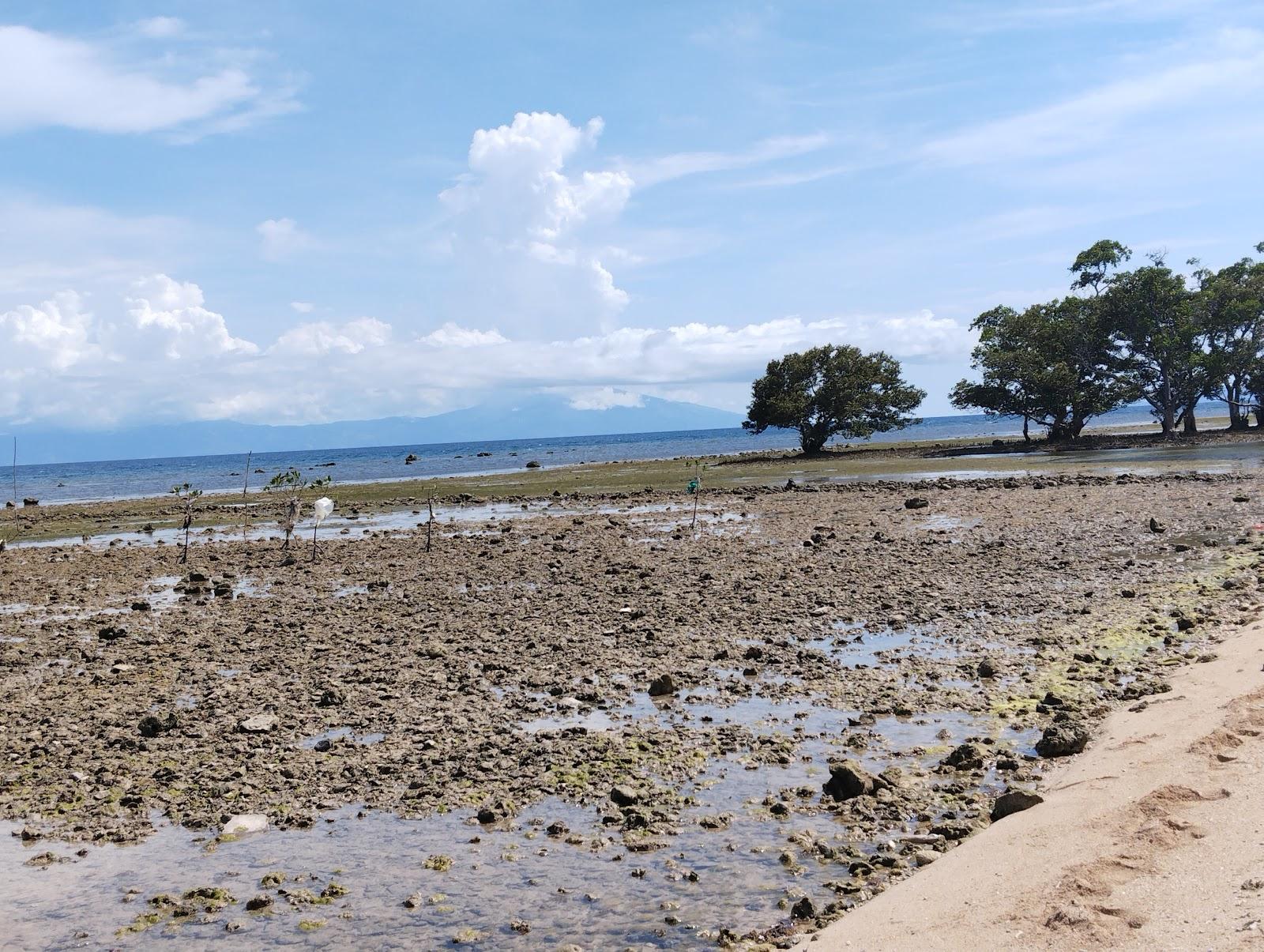 Sandee Bagongon Beach Photo