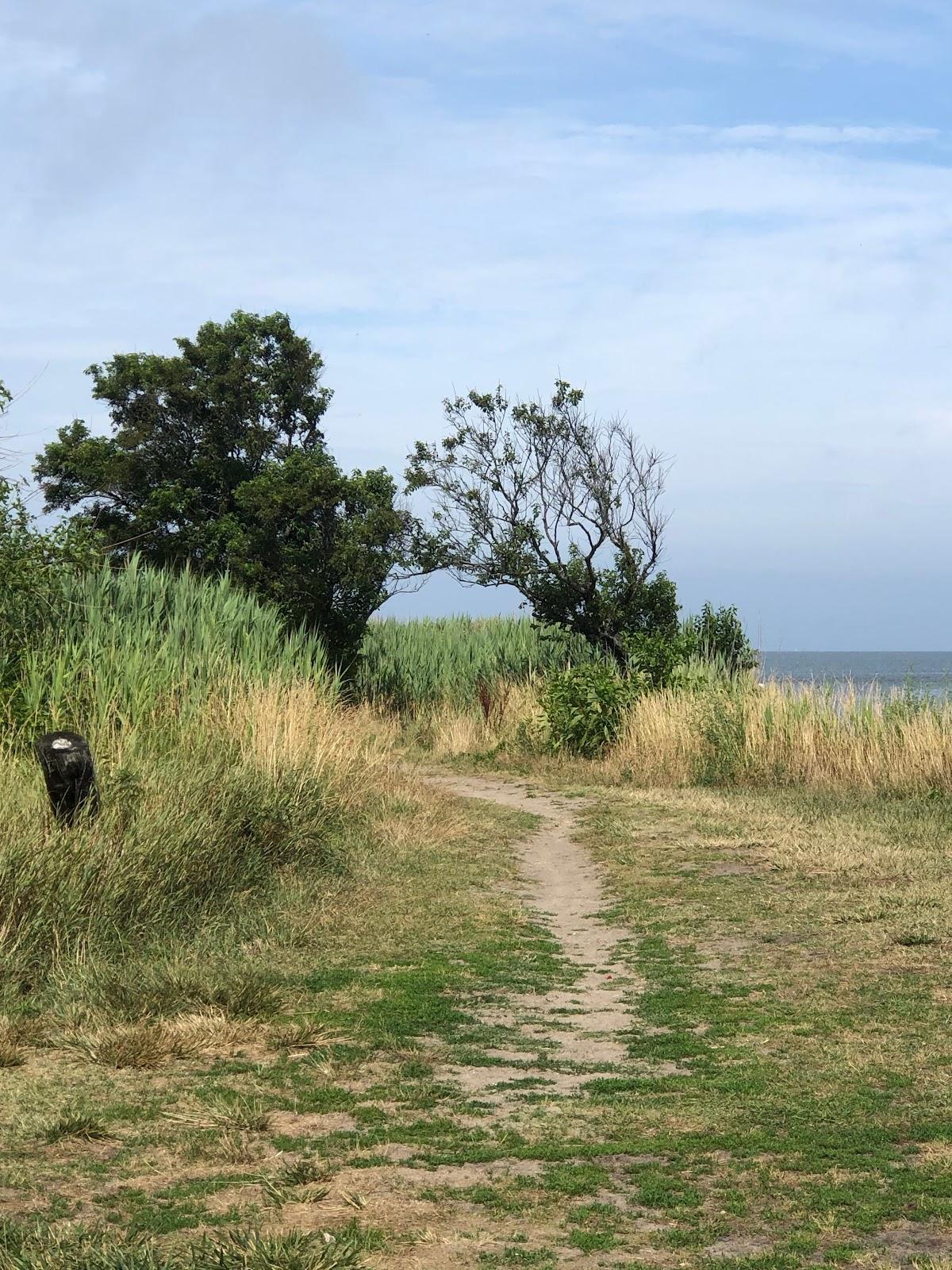 Sandee - Higbee Beach