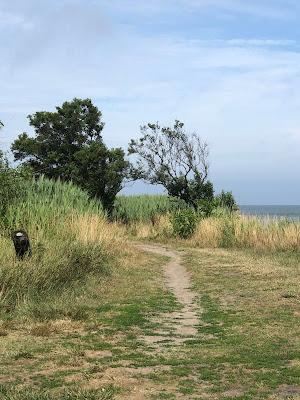 Sandee - Higbee Beach