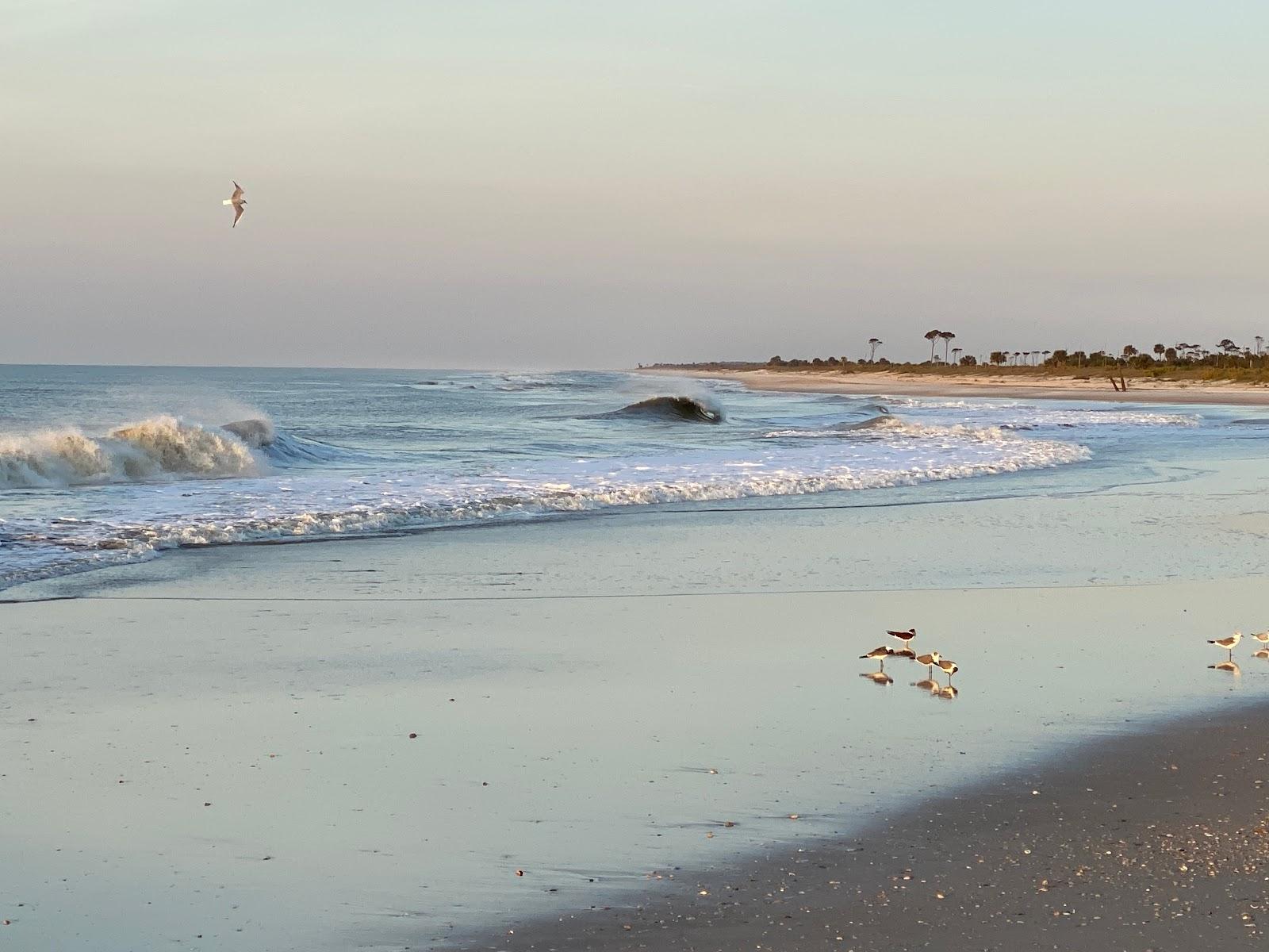 Sandee - Lutz Beach