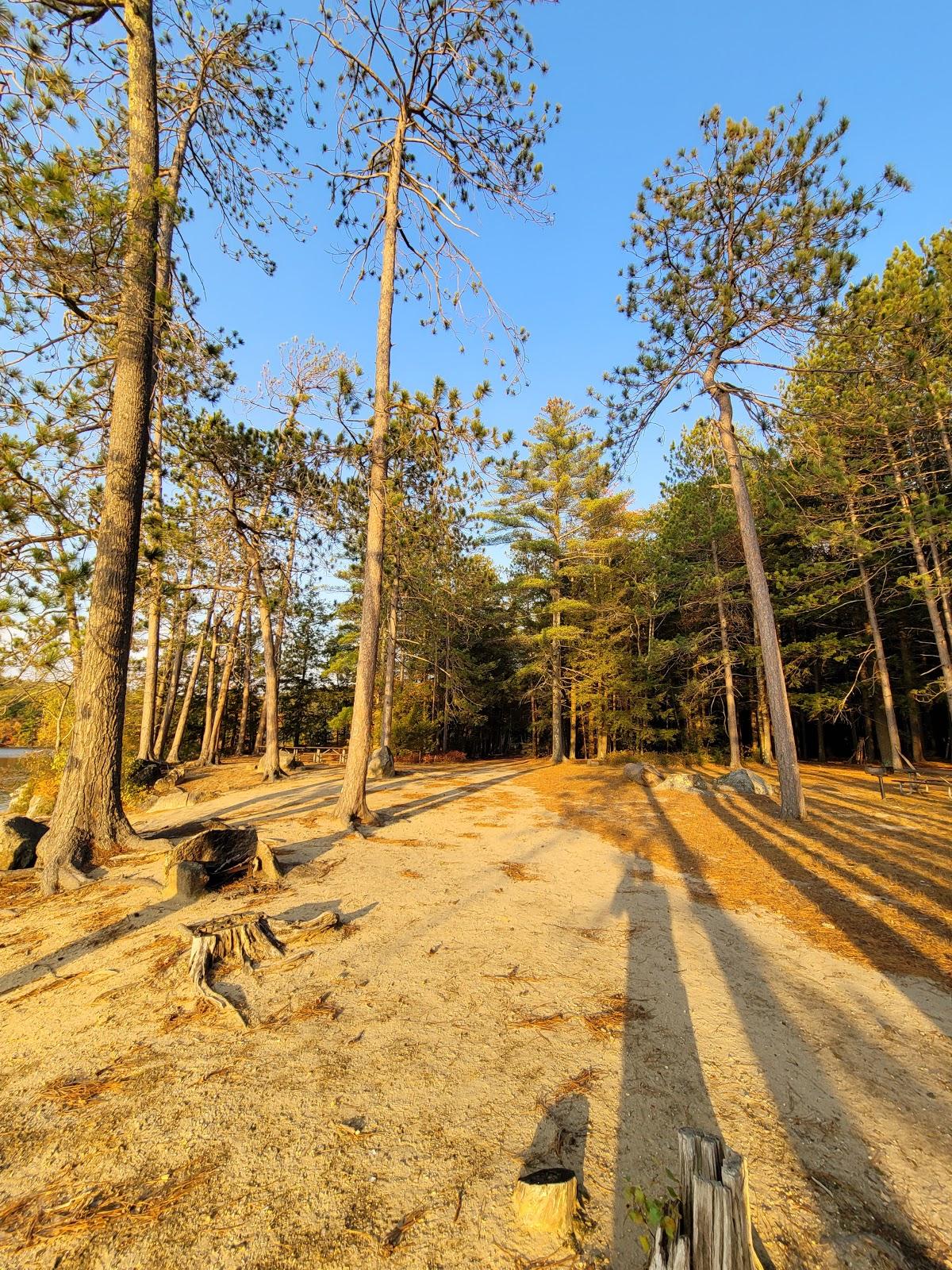 Sandee Wadleigh State Park