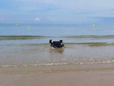 Sandee - Plage De Ville Berneuf - Saint Pabu A Pleneuf-Val-Andre