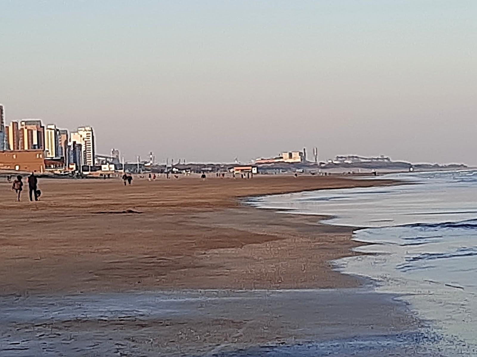 Sandee - Playa De Necochea