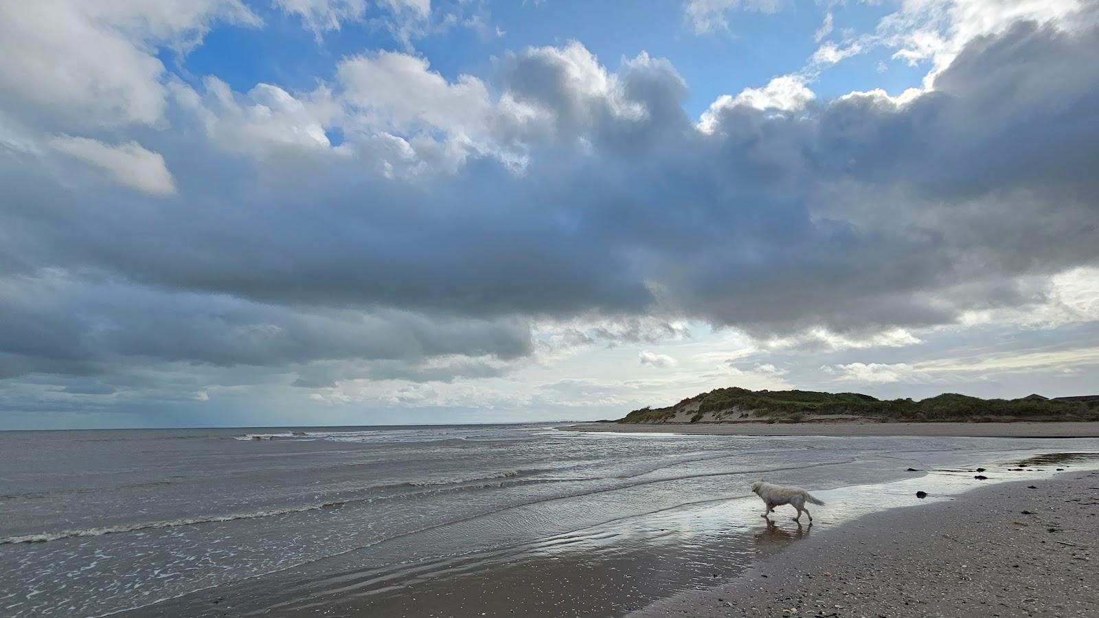 Sandee Termonfeckin Beach