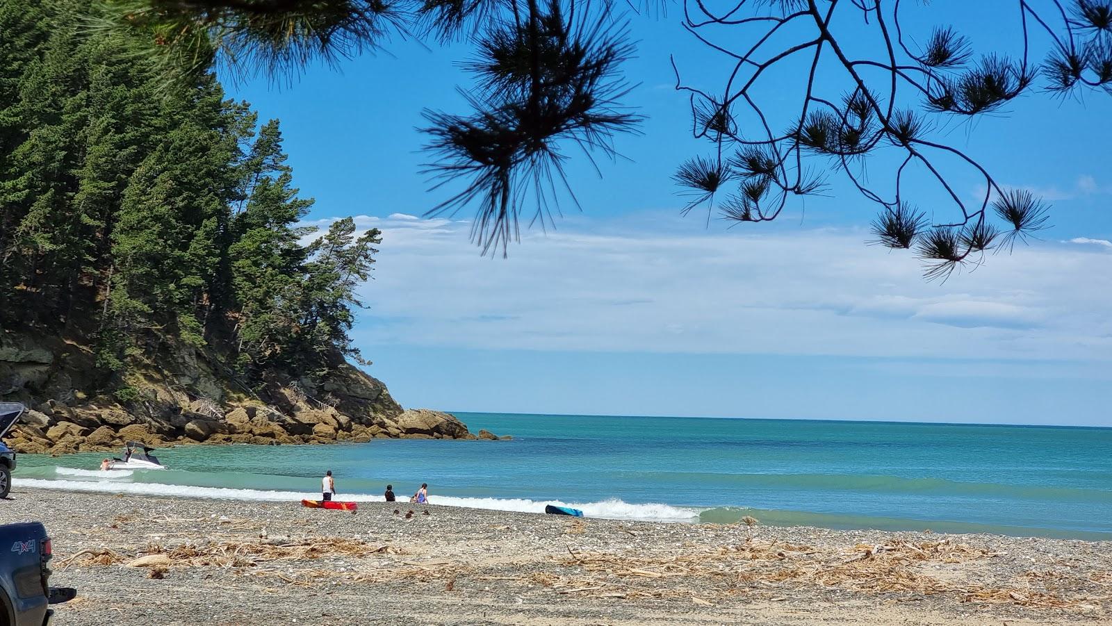 Sandee Teviotdale Beach