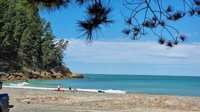 Sandee - Teviotdale Beach