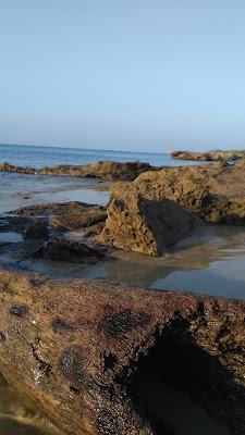 Sandee - Maraikayar Pattinam Beach