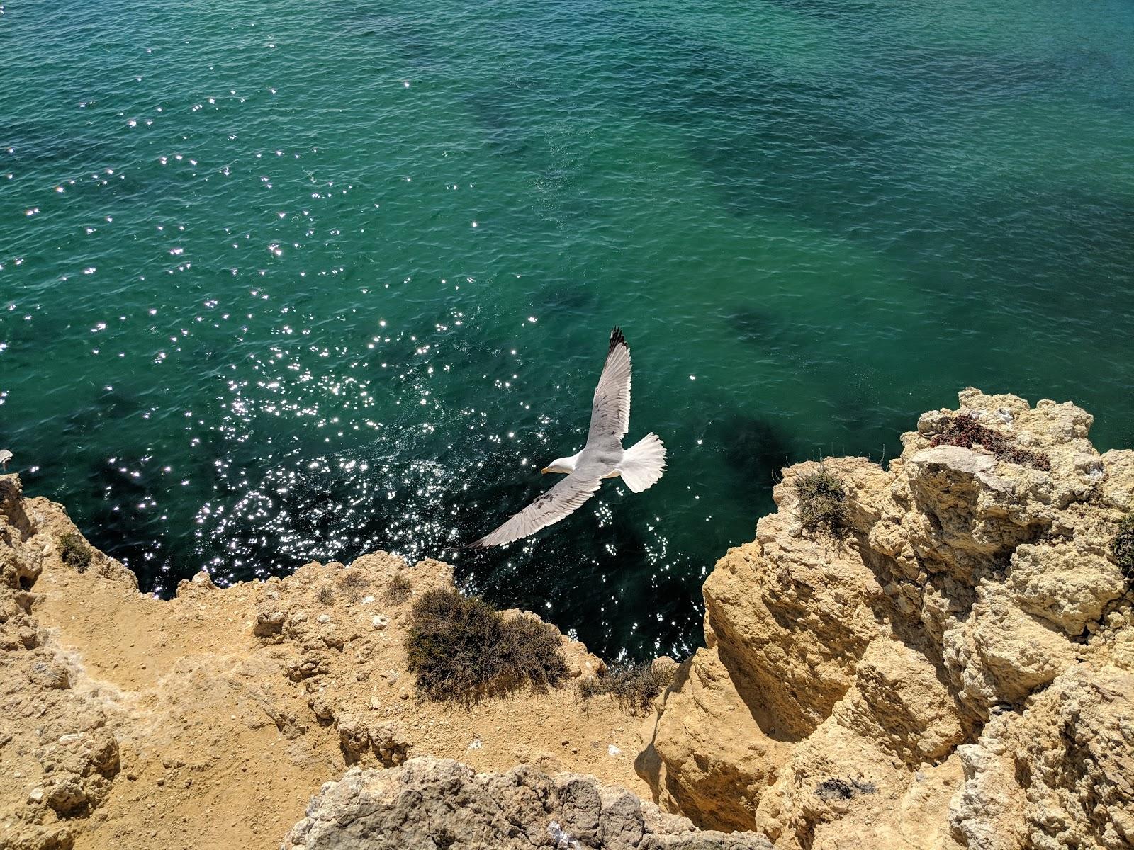 Sandee - Praia Da Mare Das Porcas