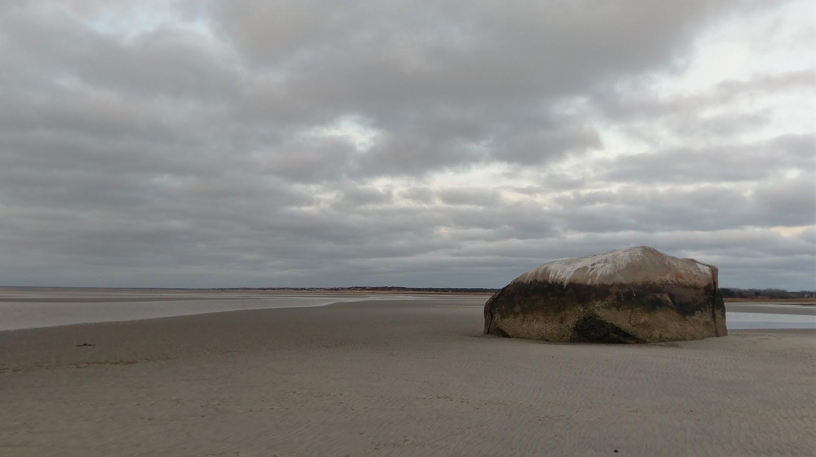 Sandee Rock Harbor Marsh