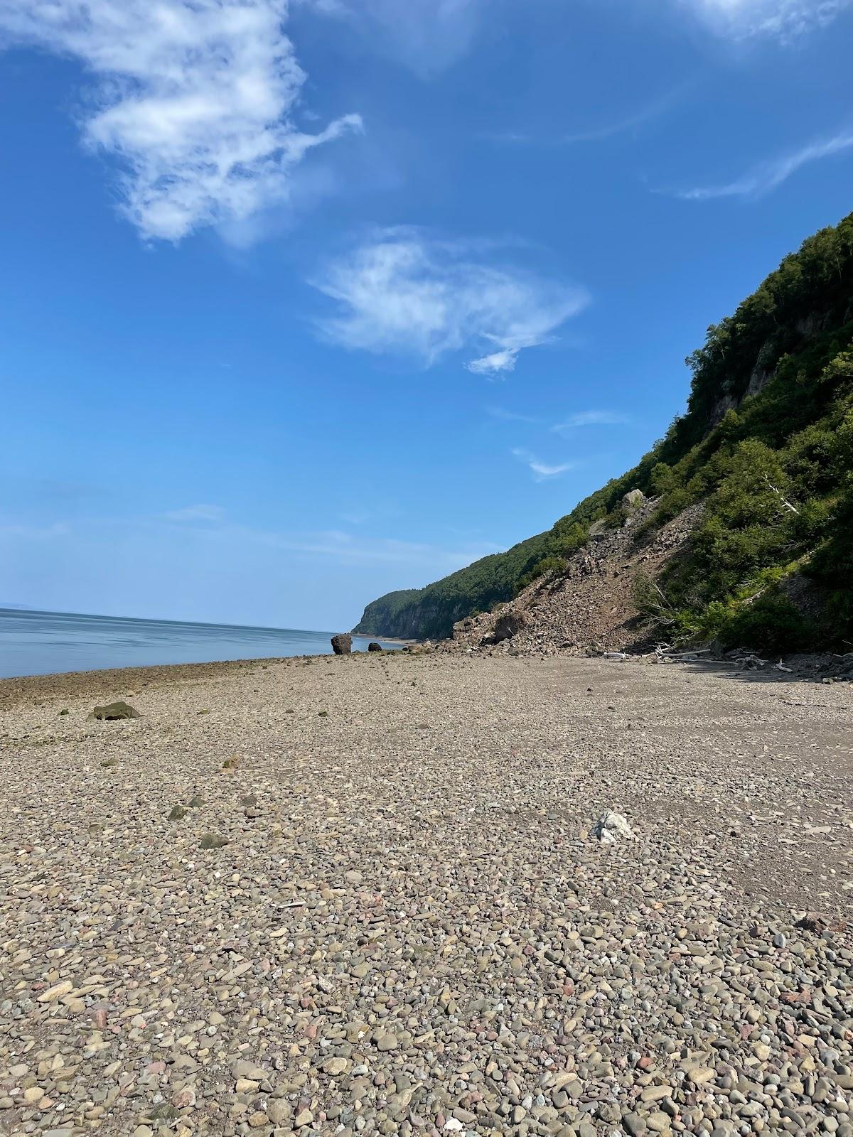 Sandee - HomePage / Scots Bay