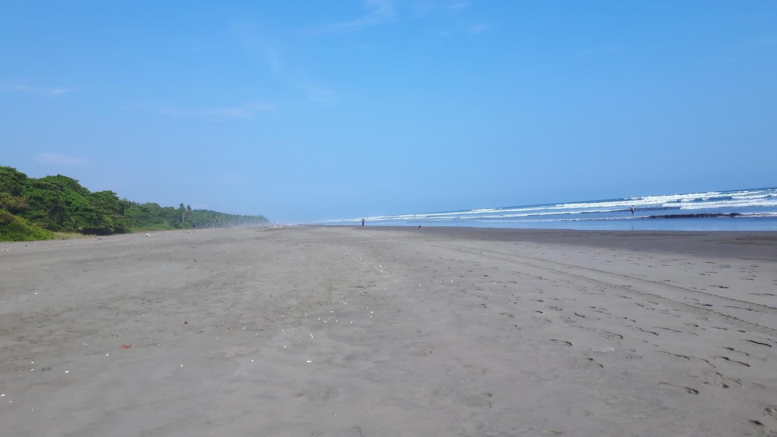 Sandee Playa Palma