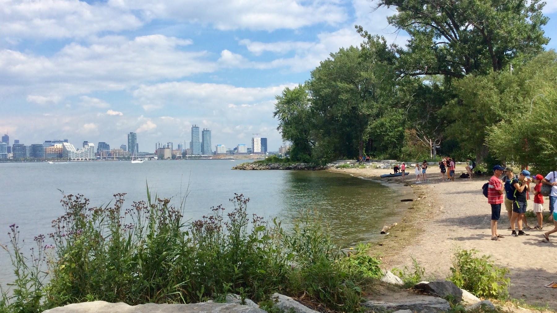 Sandee Ward's Island Beach