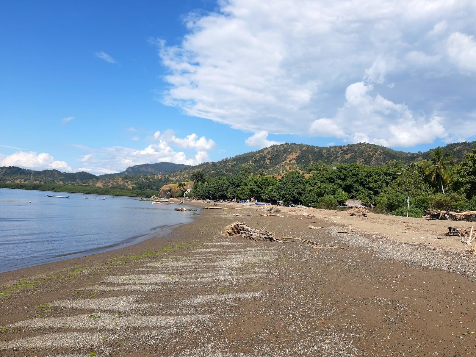 Sandee Pantai Berluli
