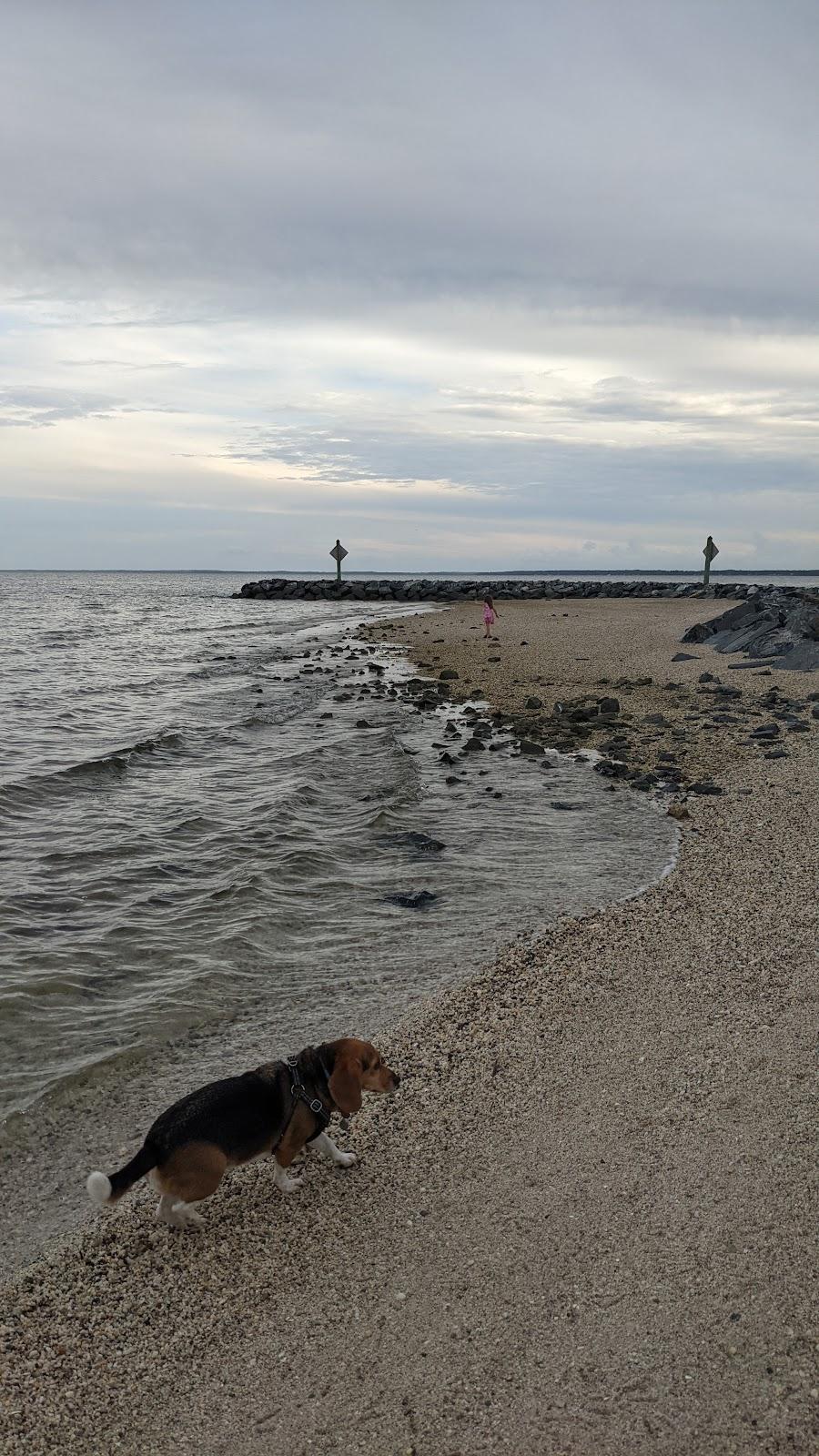 Sandee Piney Point Beach