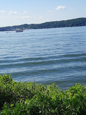 Sandee - Pickwick Landing State Park