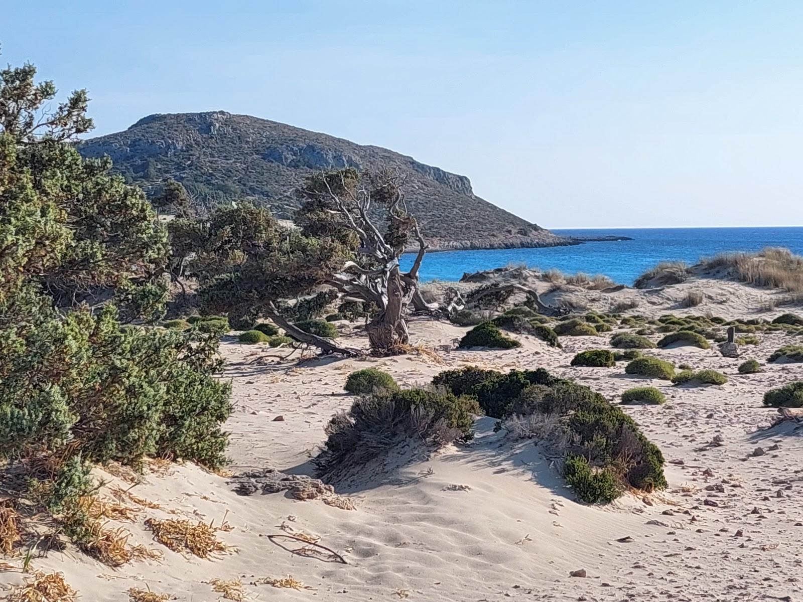 Sandee Asimos Paradise Beach