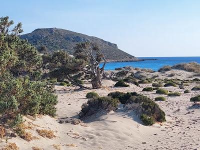 Sandee - Asimos Paradise Beach