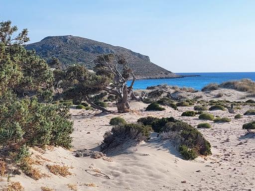 Sandee Asimos Paradise Beach Photo