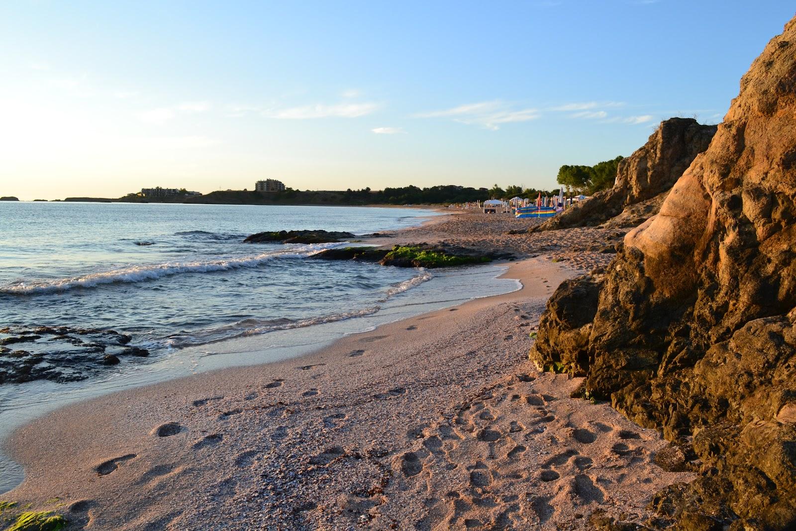 Sandee Coral Beach Photo