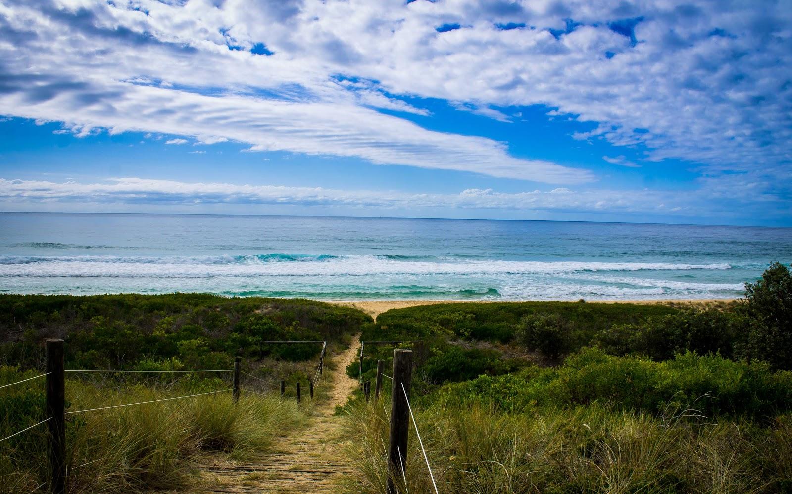 Sandee Jemisons Beach