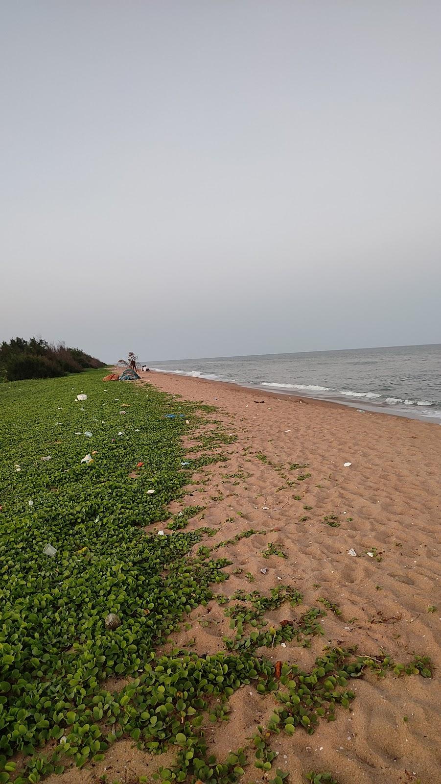 Sandee Pantai Parentek