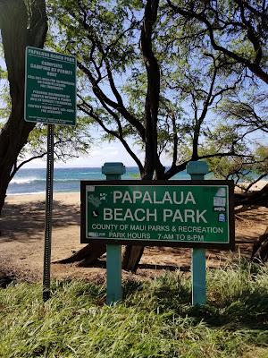 Sandee - Papalaua Beach Park