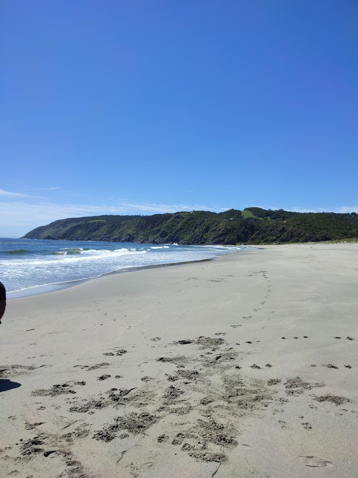 Sandee Rosaura Beach