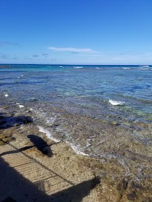 Sandee - Tongg's Beach