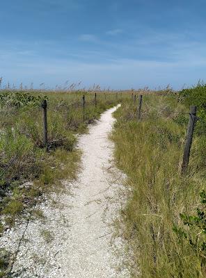 Sandee - Keewaydin Island Beach