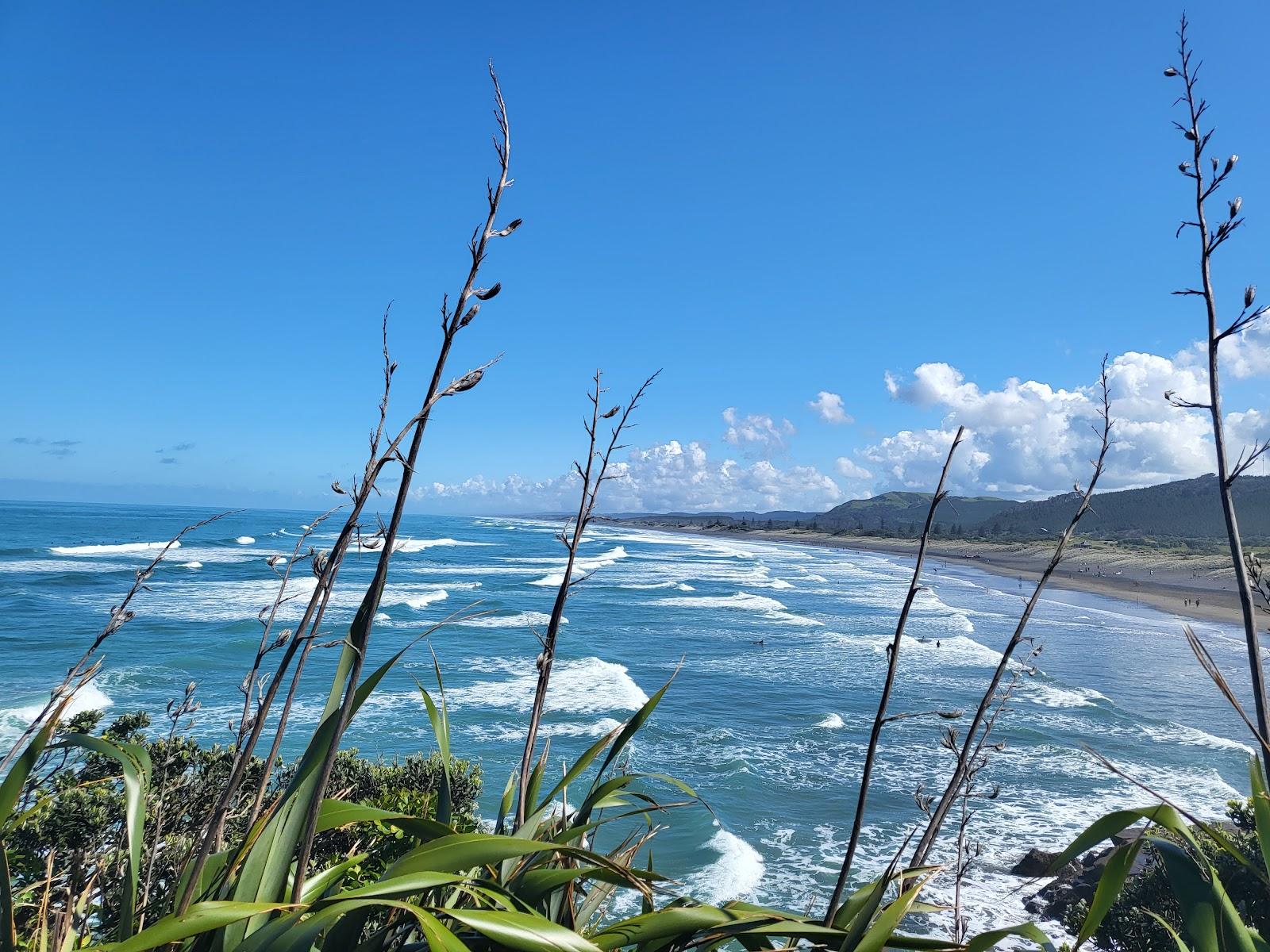 Sandee Muriwai Gannet Colony Photo