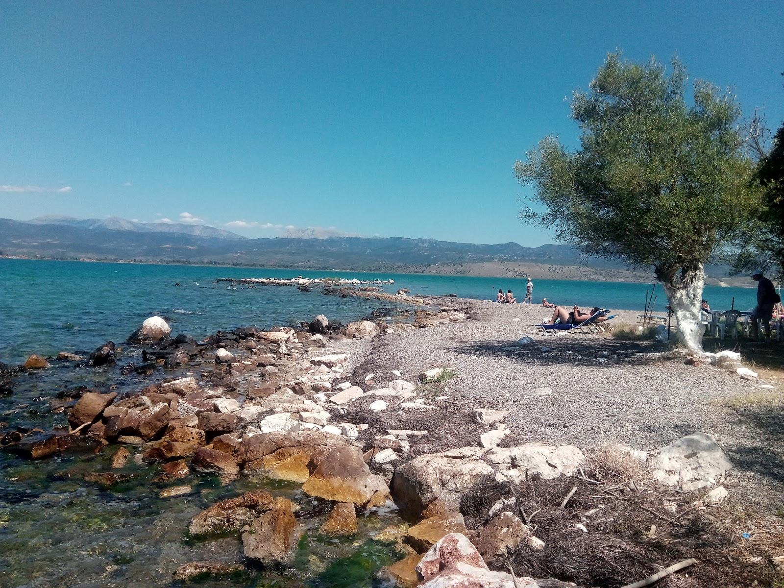 Sandee Plaz Cuuluri Beach Photo