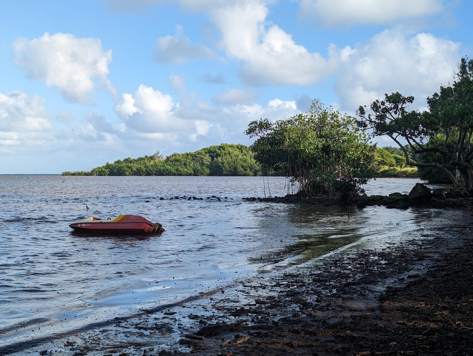 Sandee - Waiahole Beach Park