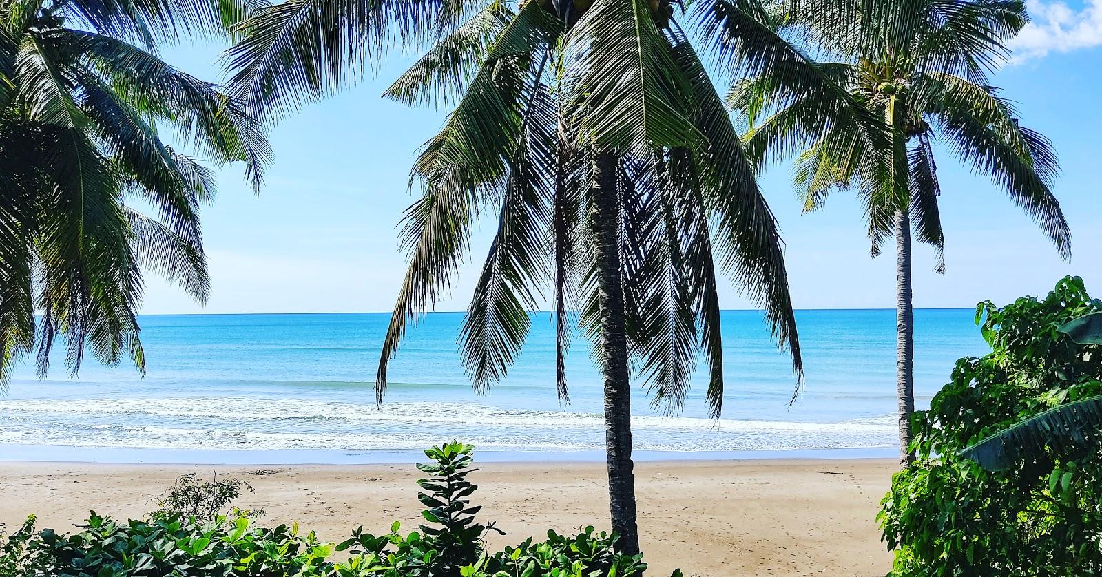 Sandee Orr Beach Resort