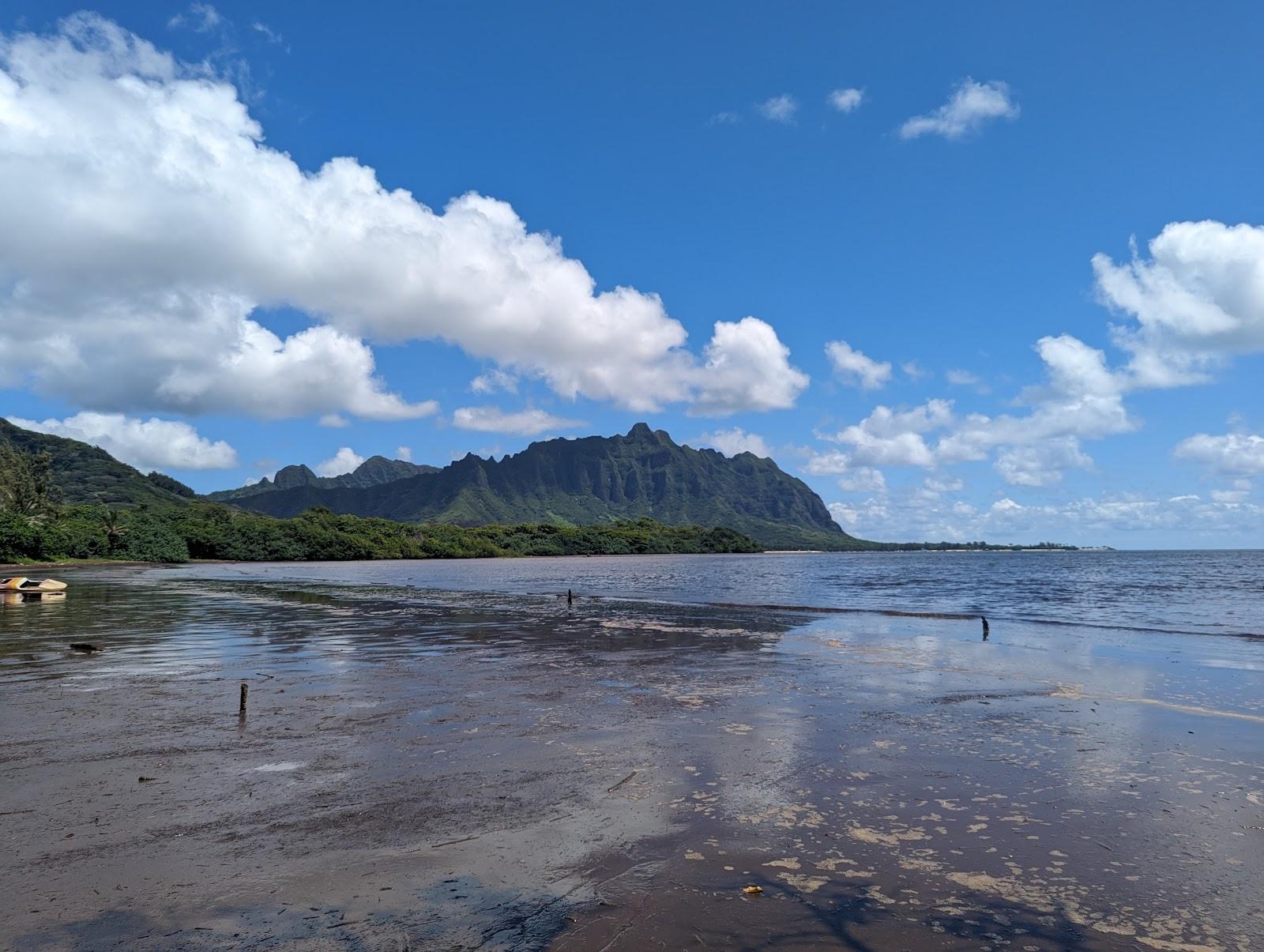 Sandee - Waiahole Beach Park