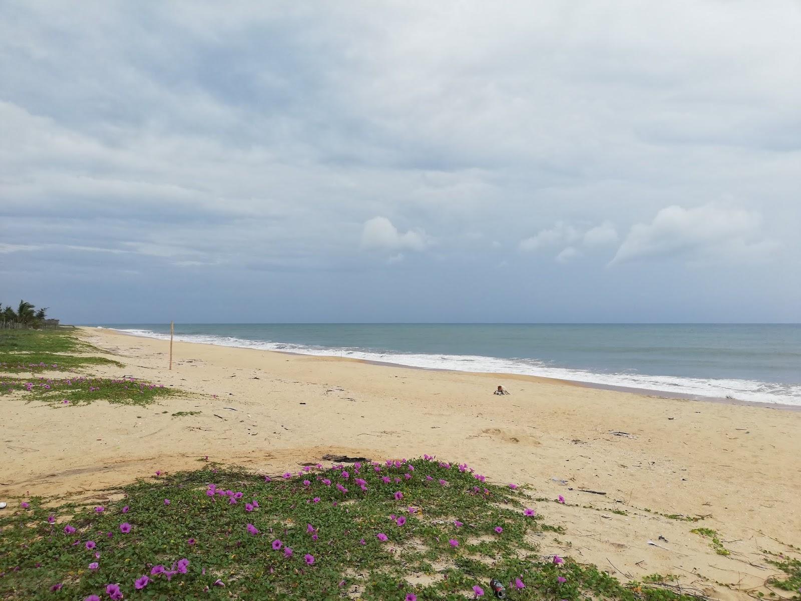 Sandee Whiskey Point Beach Photo