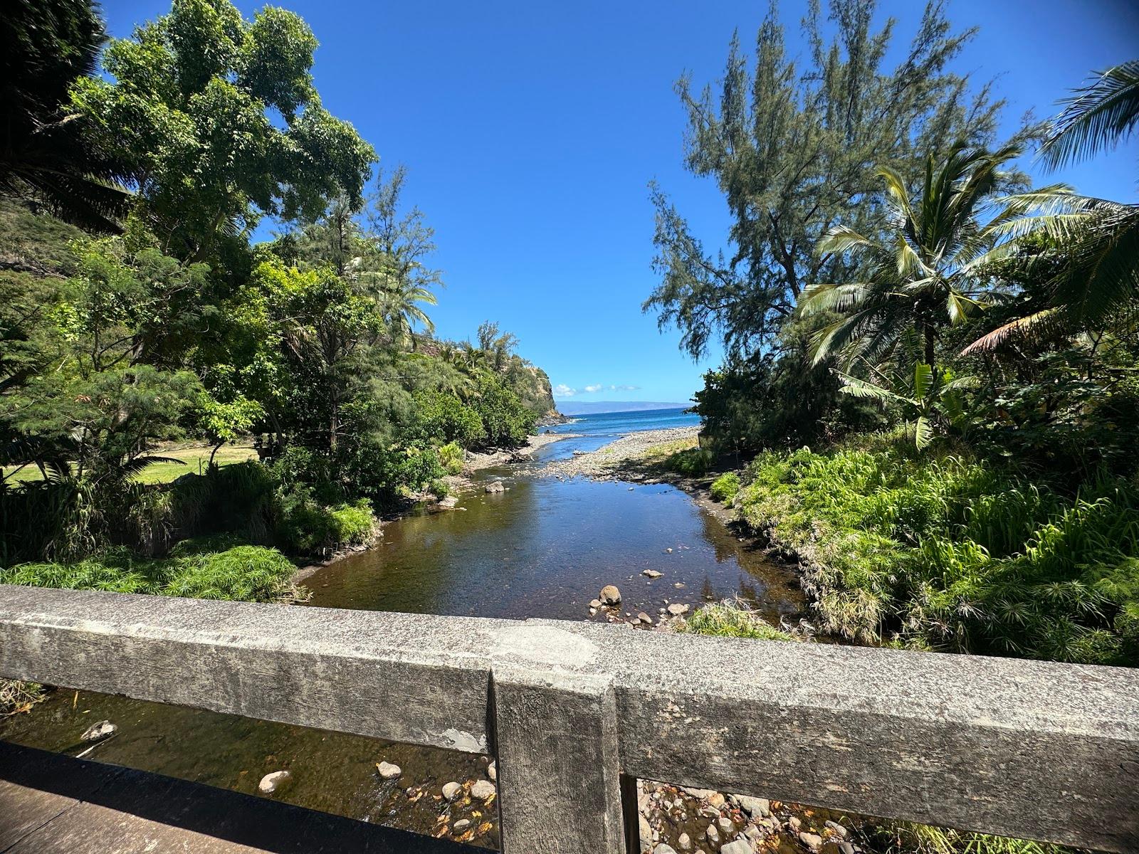 Sandee - Honokohau Bay