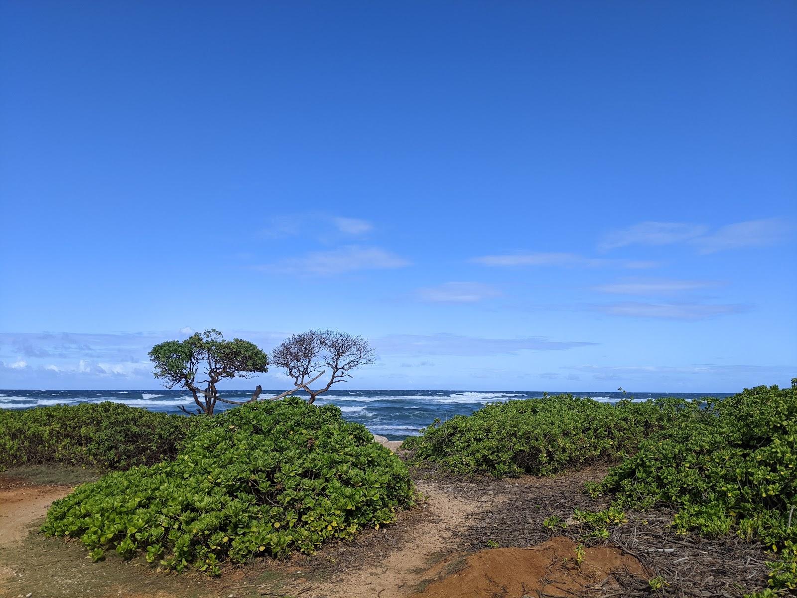 Sandee - Nukolii Beach Park