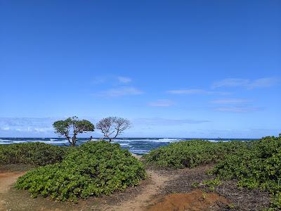 Sandee - Nukolii Beach Park