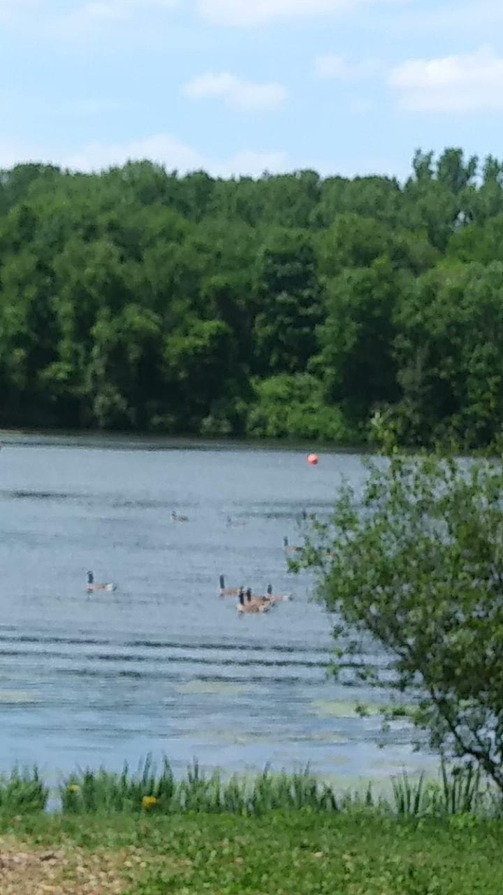 Sandee Portage Lakes State Park Beach