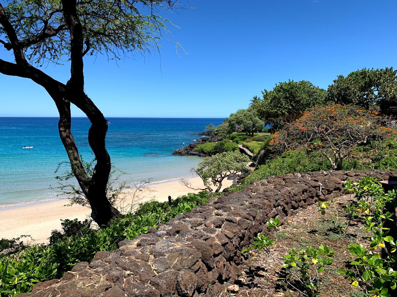 Sandee - Kauna'Oa Bay